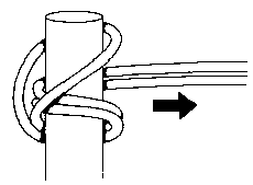 ph3.gif (1293 bytes)